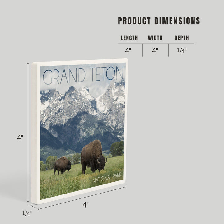Grand Teton National Park, Wyoming, Buffalo and Mountain Scene, Coasters Coasters Lantern Press 