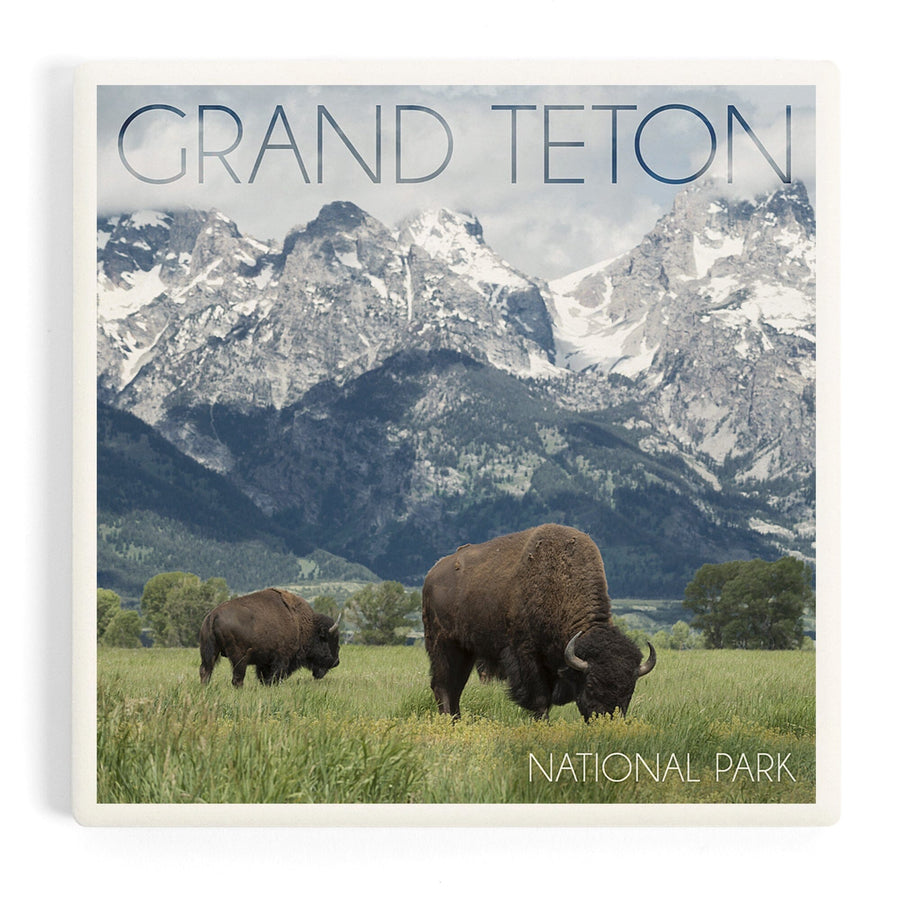 Grand Teton National Park, Wyoming, Buffalo and Mountain Scene, Coasters Coasters Lantern Press 