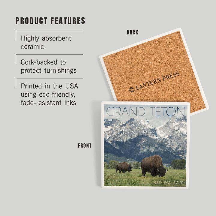 Grand Teton National Park, Wyoming, Buffalo and Mountain Scene, Coasters Coasters Lantern Press 