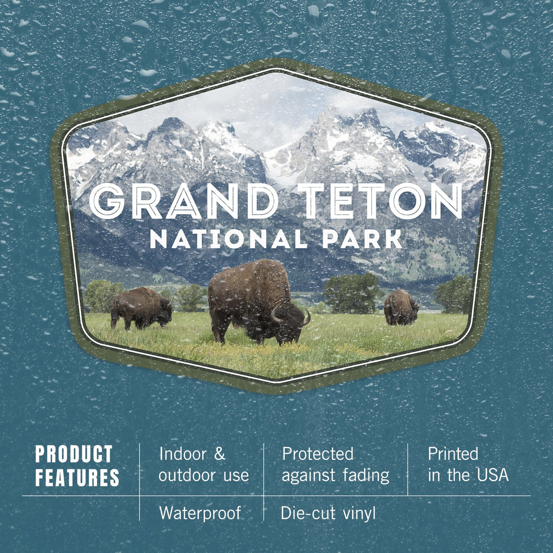 Grand Teton National Park, Wyoming, Buffalo & Mountain Scene, Contour, Lantern Press Photography, Vinyl Sticker - Lantern Press