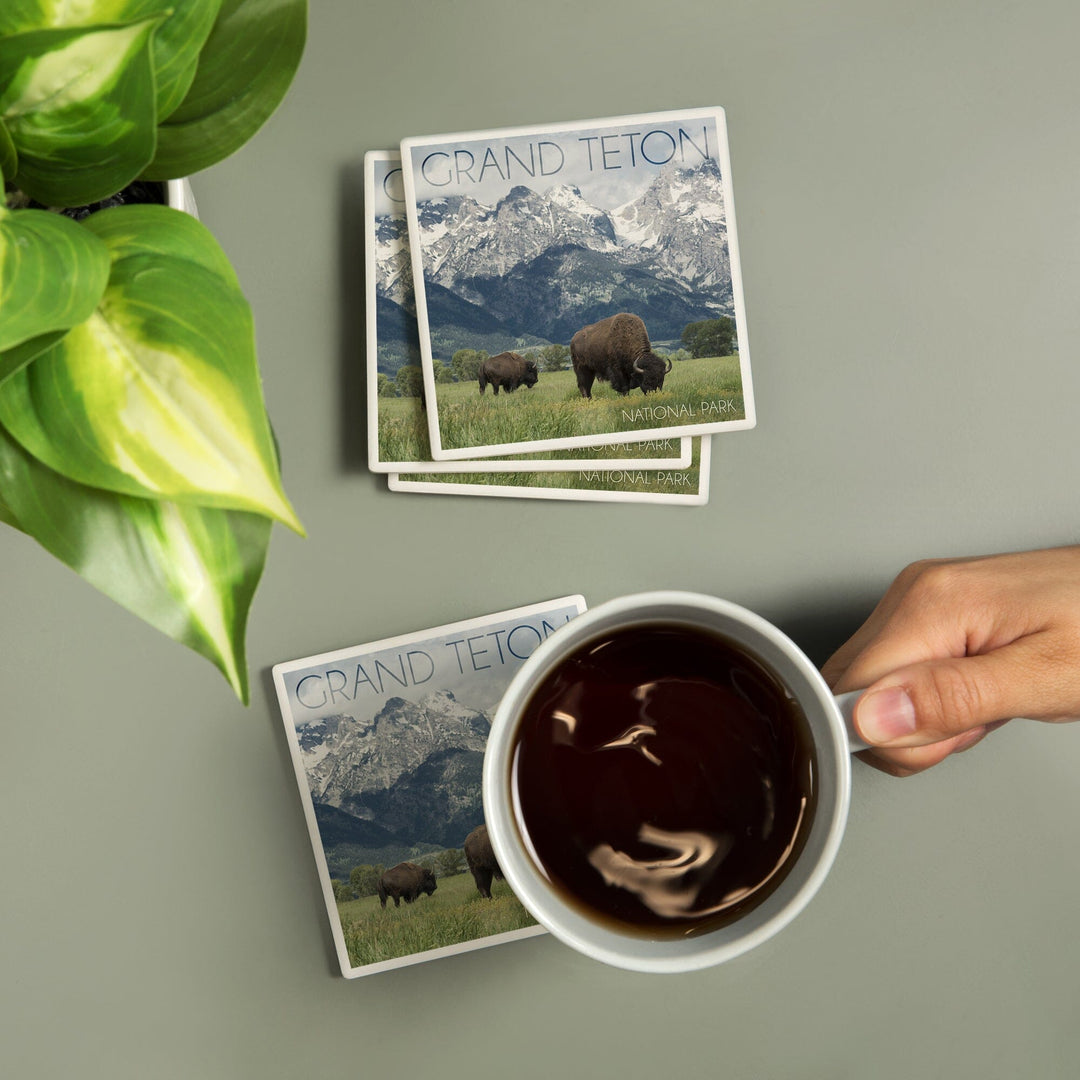 Grand Teton National Park, Wyoming, Buffalo & Mountain Scene, Lantern Press Photography, Coaster Set - Lantern Press