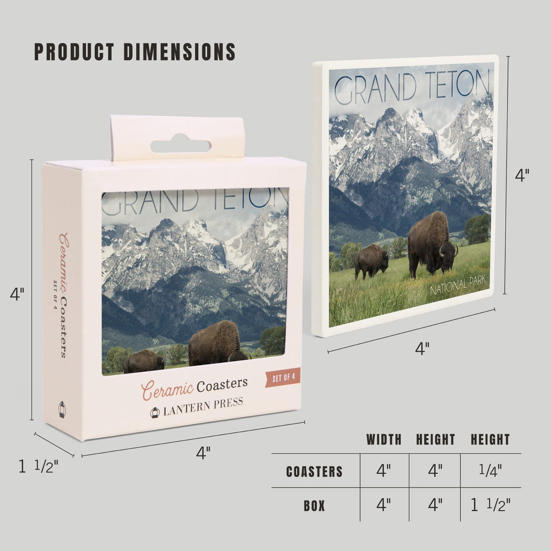 Grand Teton National Park, Wyoming, Buffalo & Mountain Scene, Lantern Press Photography, Coaster Set - Lantern Press