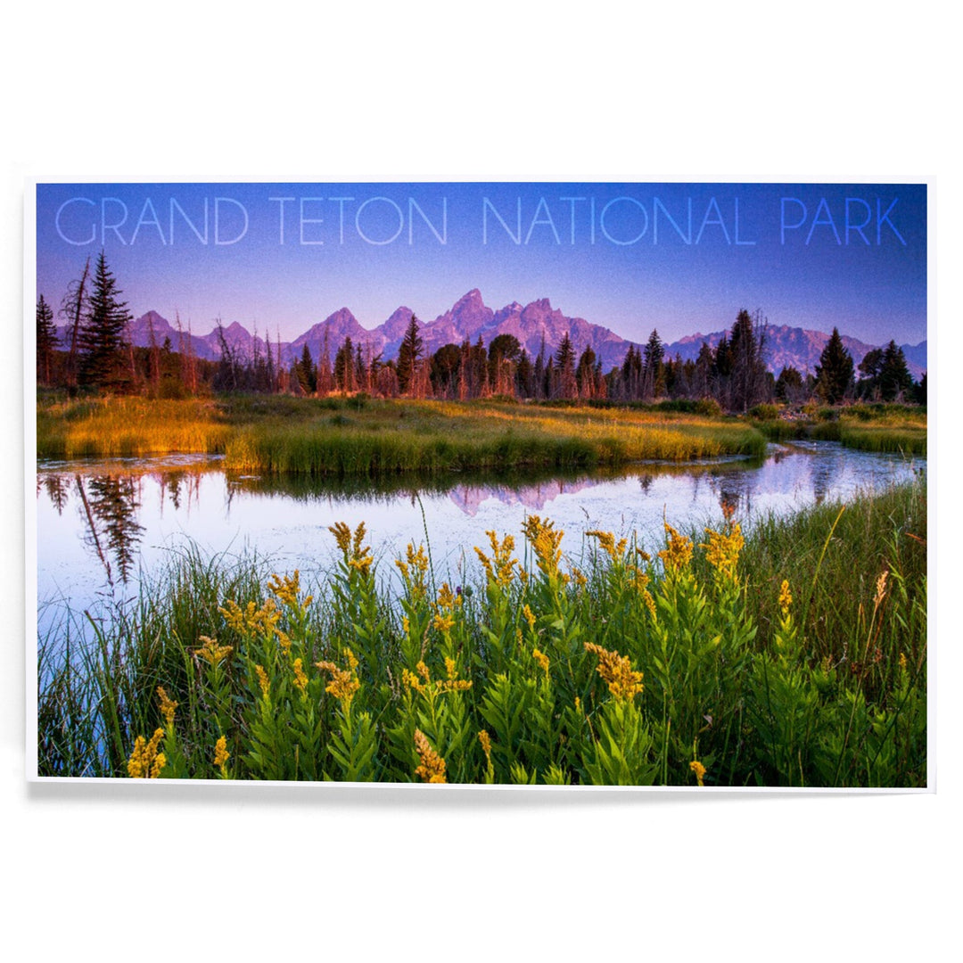 Grand Teton National Park, Wyoming, Flower Foreground, Art & Giclee Prints Art Lantern Press 