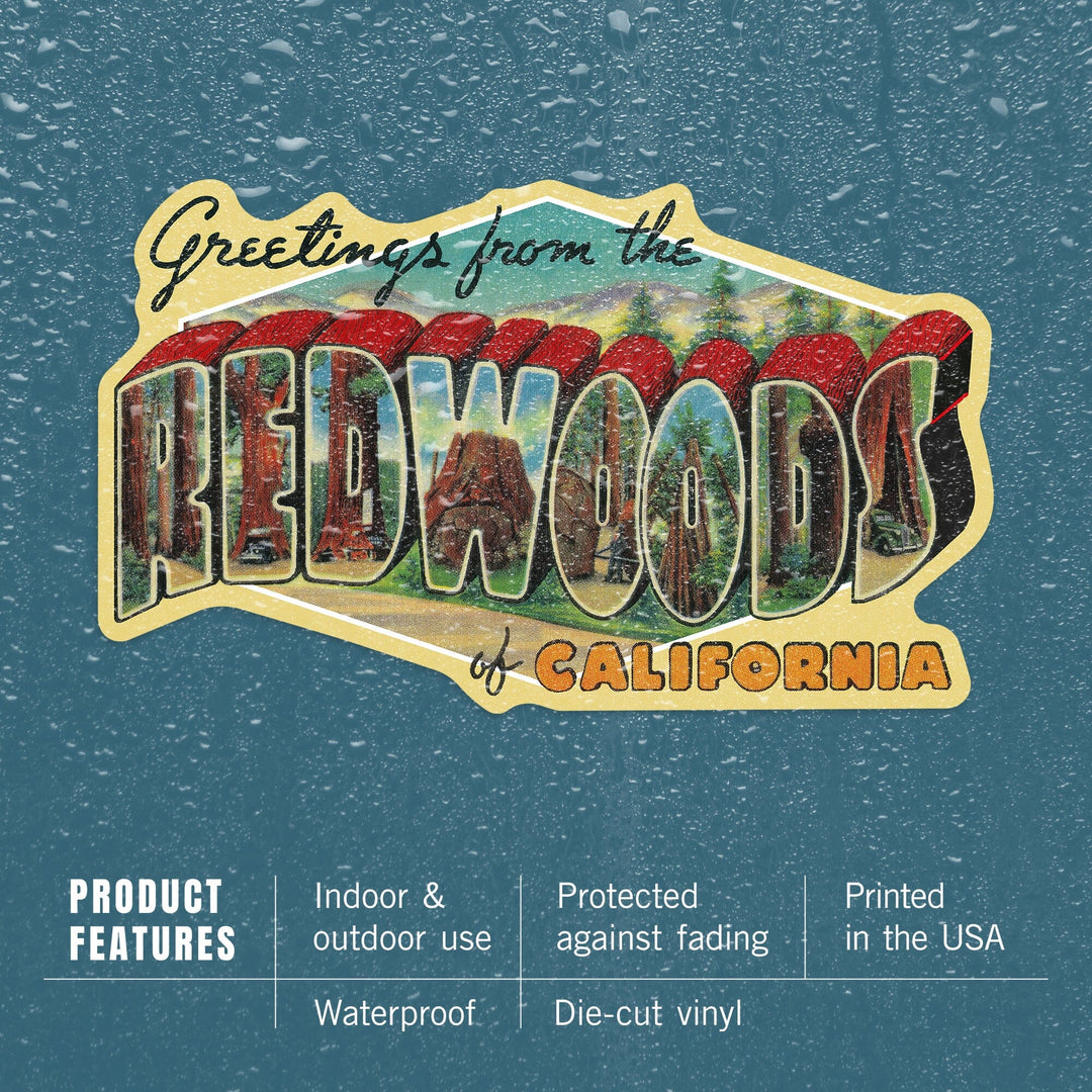 Greetings from the Redwoods of California, Contour, Vinyl Sticker Sticker Lantern Press 