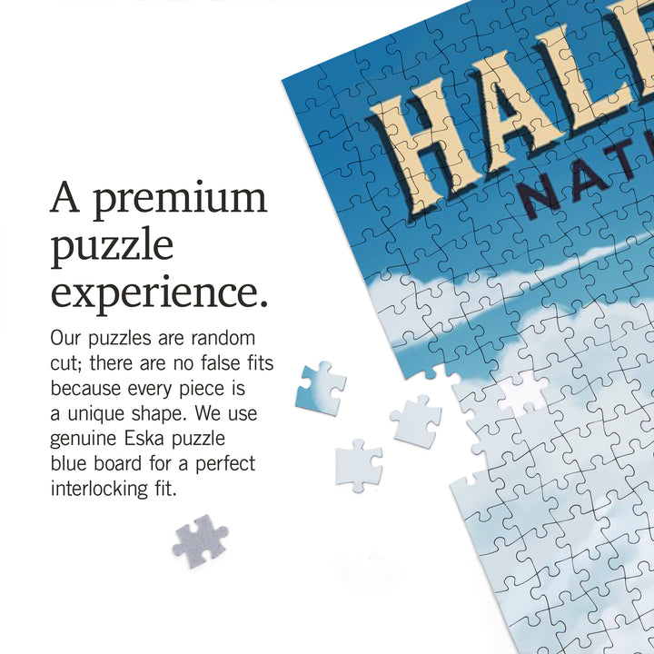Haleakalā National Park, Hawaii, Oil Painting, Jigsaw Puzzle Puzzle Lantern Press 