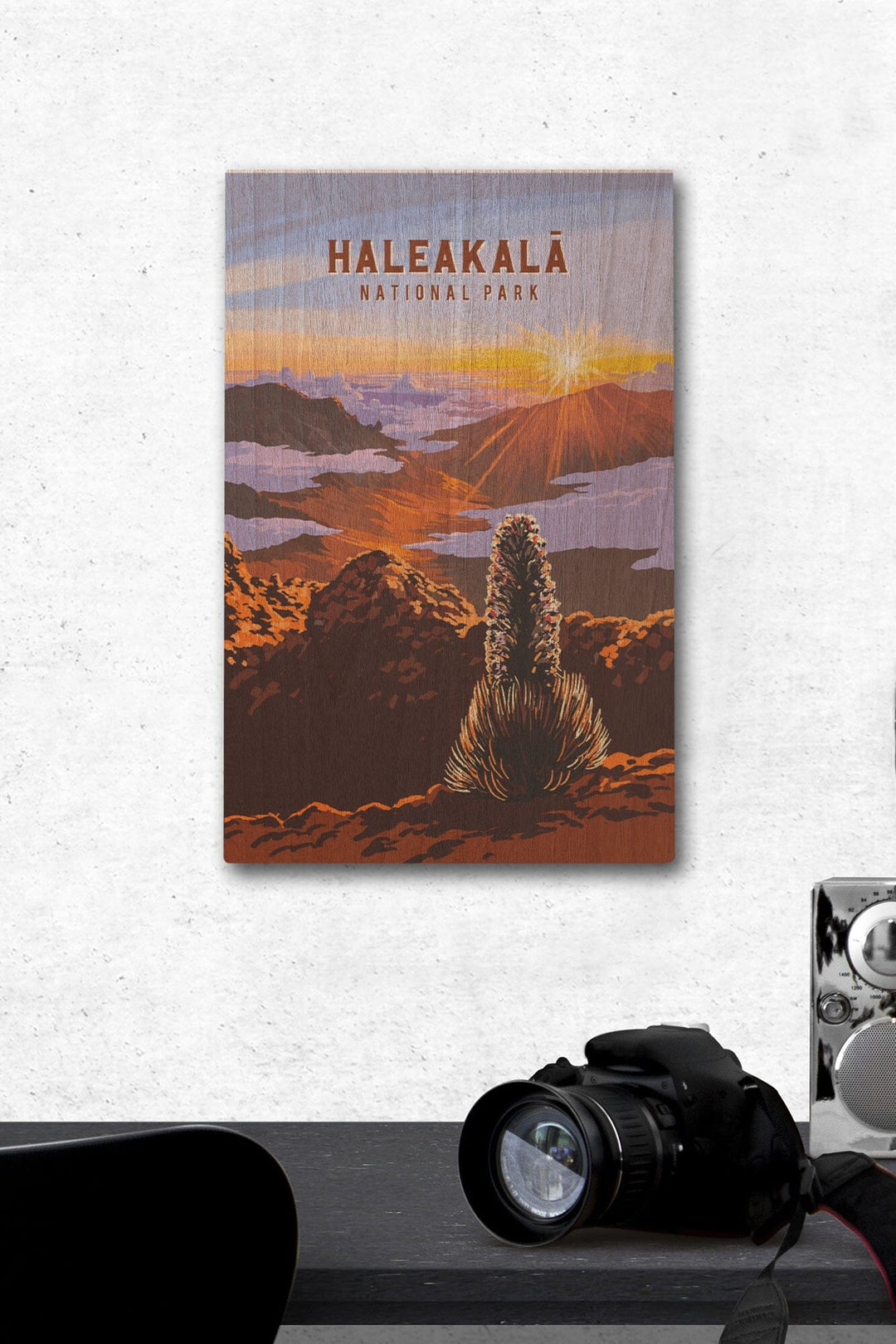 Haleakala National Park, Hawaii, Painterly National Park Series, Wood Signs and Postcards Wood Lantern Press 12 x 18 Wood Gallery Print 