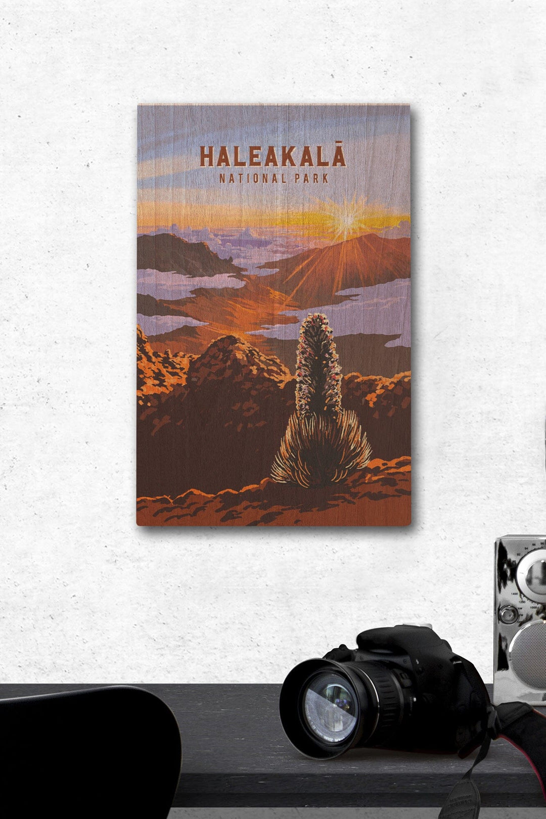 Haleakala National Park, Hawaii, Painterly National Park Series, Wood Signs and Postcards - Lantern Press