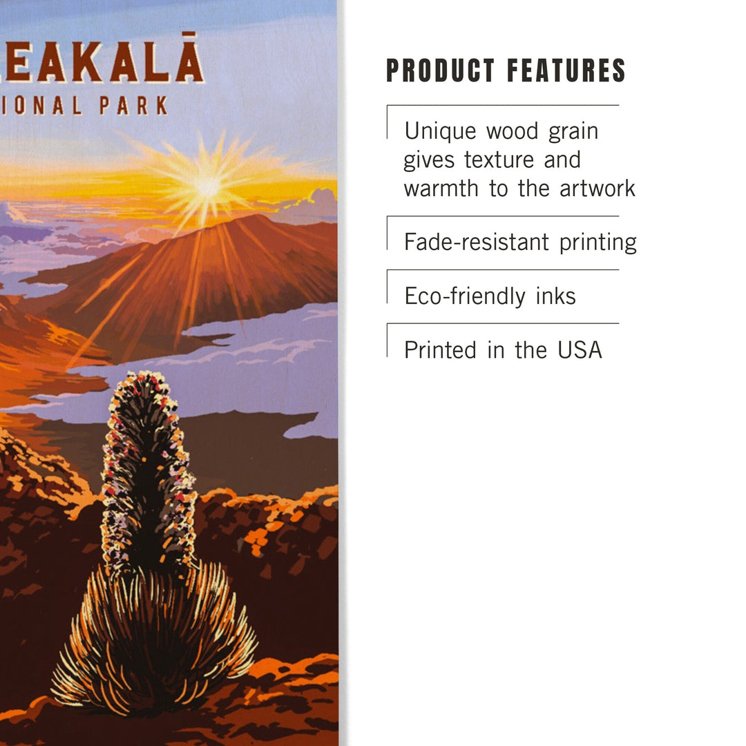 Haleakala National Park, Hawaii, Painterly National Park Series, Wood Signs and Postcards Wood Lantern Press 