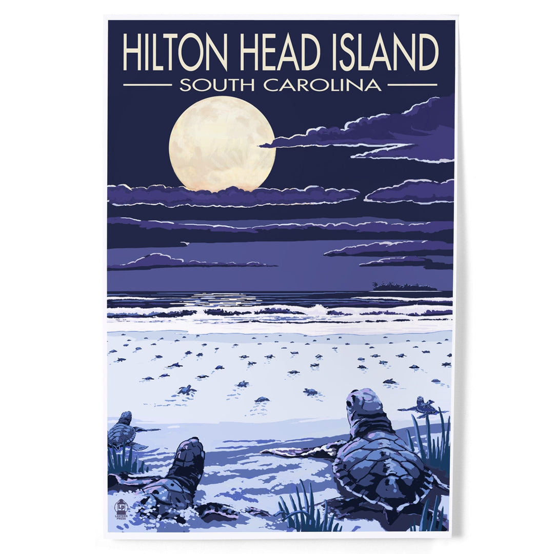 Hilton Head, South Carolina, Baby Turtles Hatching, Art & Giclee Prints Art Lantern Press 