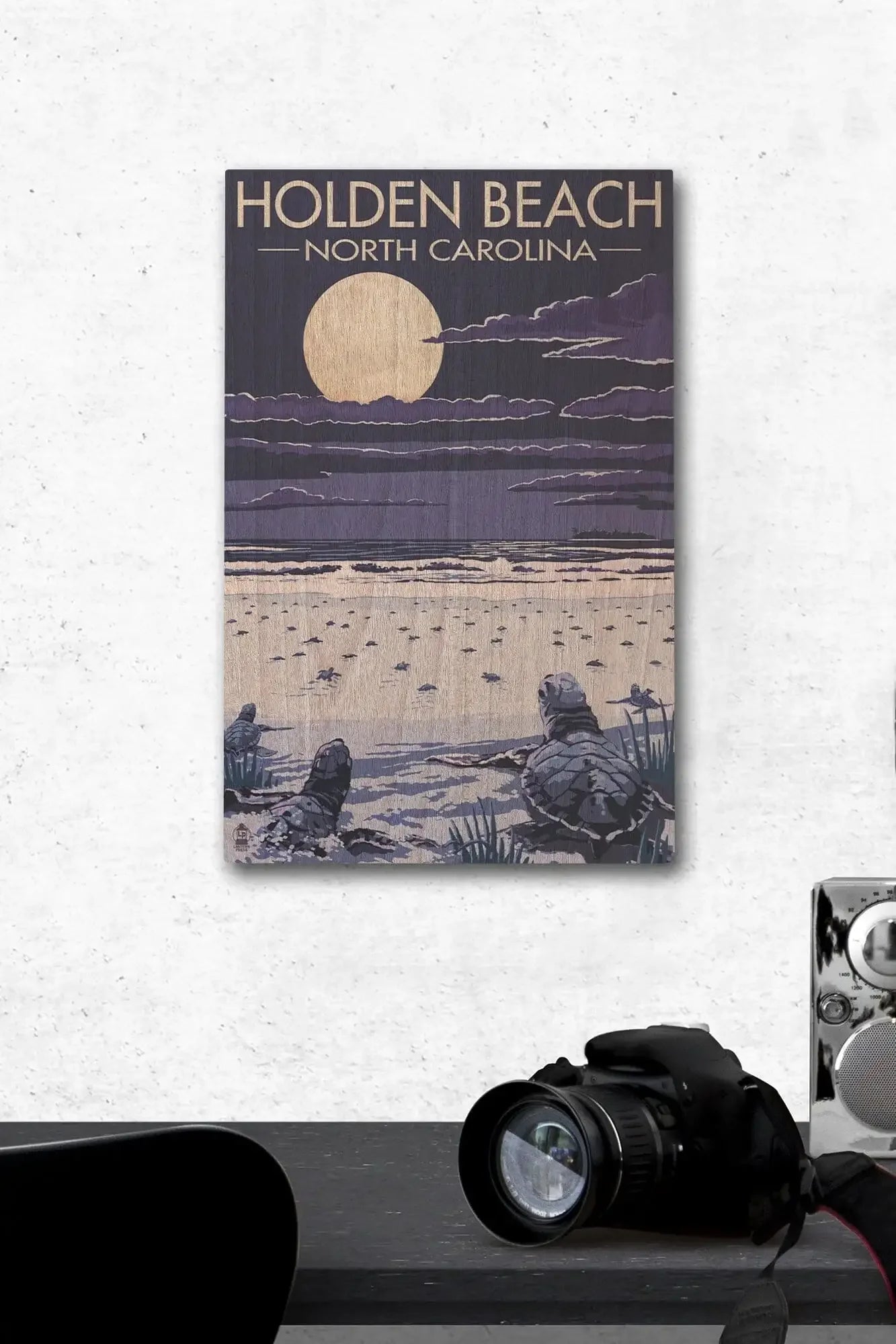 Holden Beach, North Carolina, Sea Turtles Hatching, Lantern Press