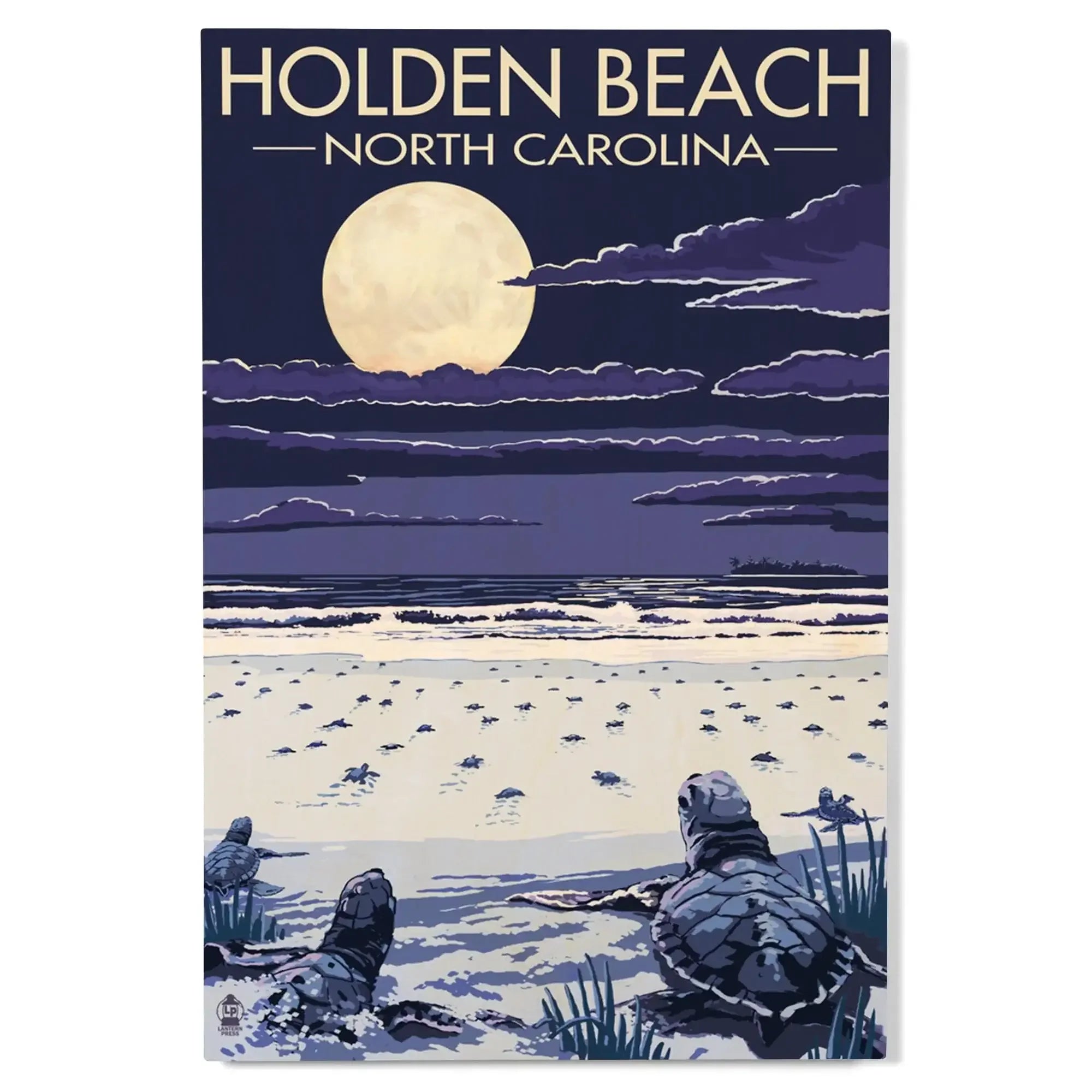 Holden Beach, North Carolina, Sea Turtles Hatching, Lantern Press