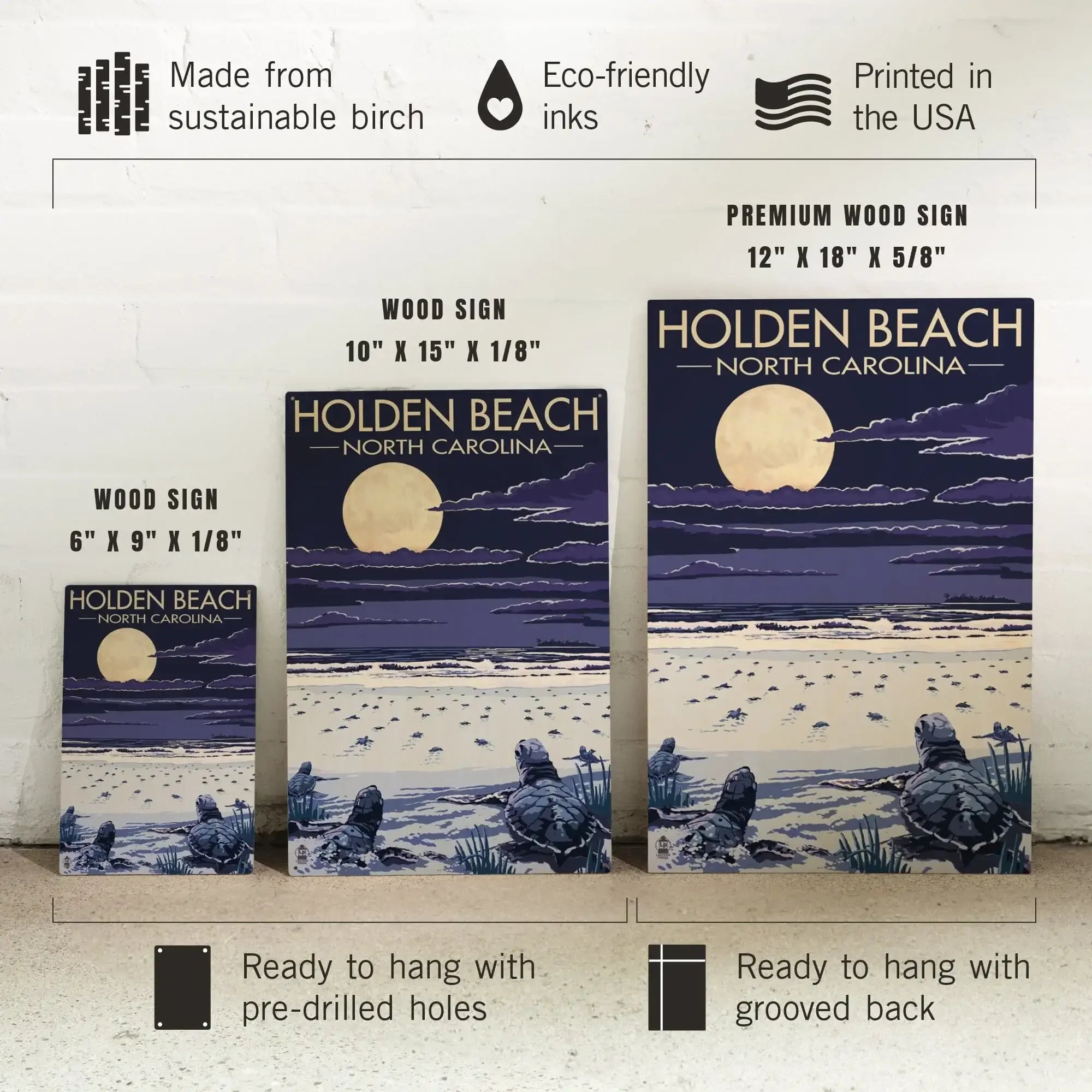 Holden Beach, North Carolina, Sea Turtles Hatching, Lantern Press