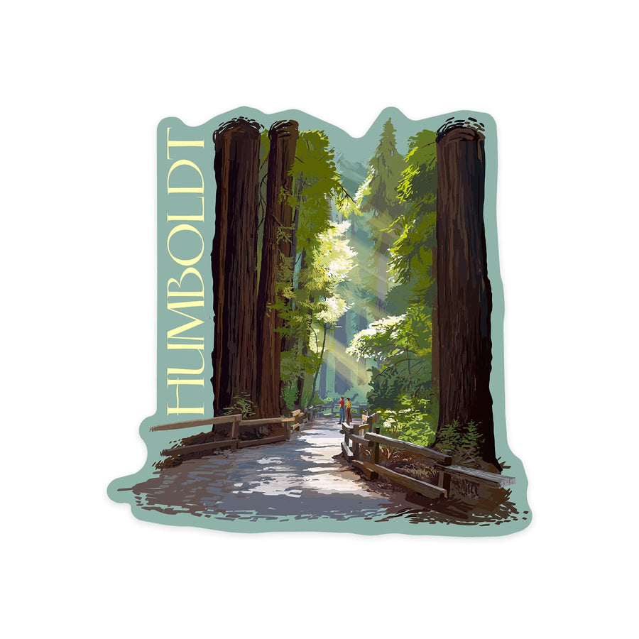 Humboldt, California, Pathway in Trees, Contour, Lantern Press Artwork, Vinyl Sticker Sticker Lantern Press 