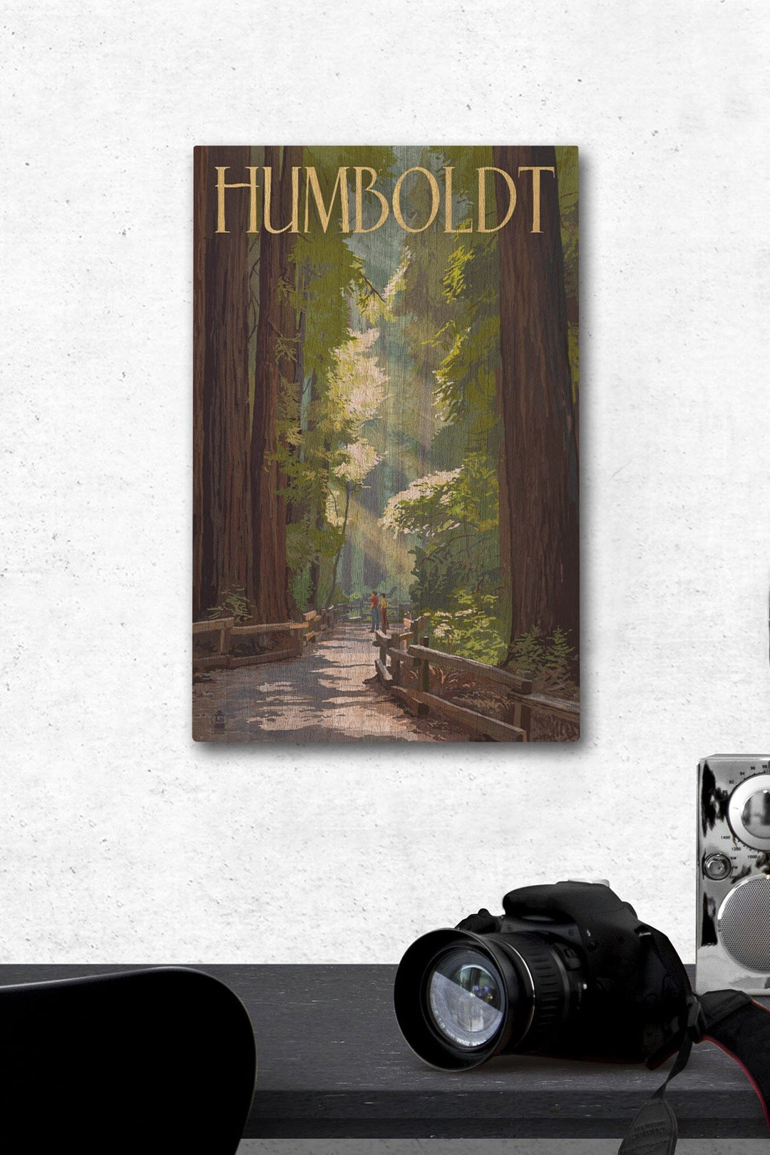 Humboldt, California, Redwoods, Pathway in Trees, Lantern Press Artwork, Wood Signs and Postcards Wood Lantern Press 12 x 18 Wood Gallery Print 