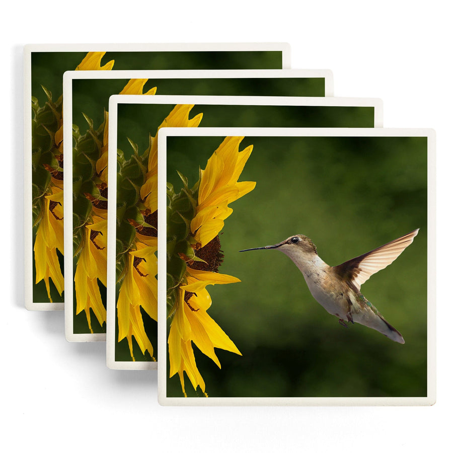 Hummingbird, Lantern Press Photography, Coaster Set - Lantern Press