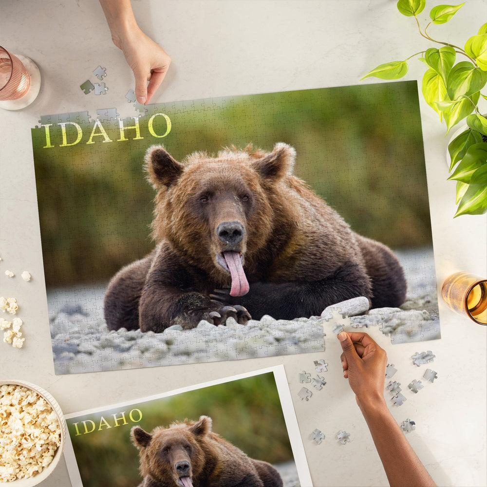 Idaho, Photography, Grizzly Bear with Tongue Out, Jigsaw Puzzle Puzzle Lantern Press 