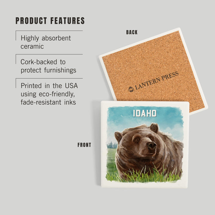 Idaho, Watercolor Study, Grizzly Bear, Coasters Coasters Lantern Press 