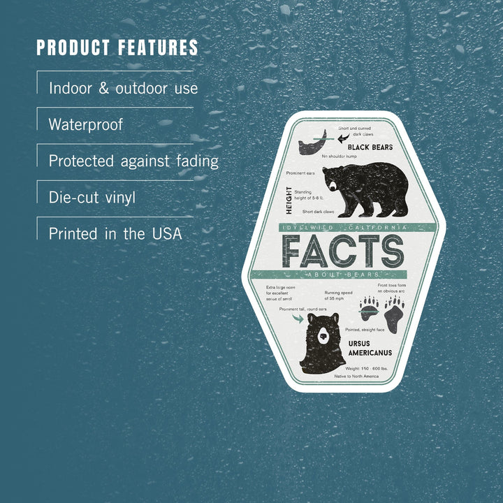 Idyllwild, California, Bear Facts, Contour, Vinyl Sticker - Lantern Press