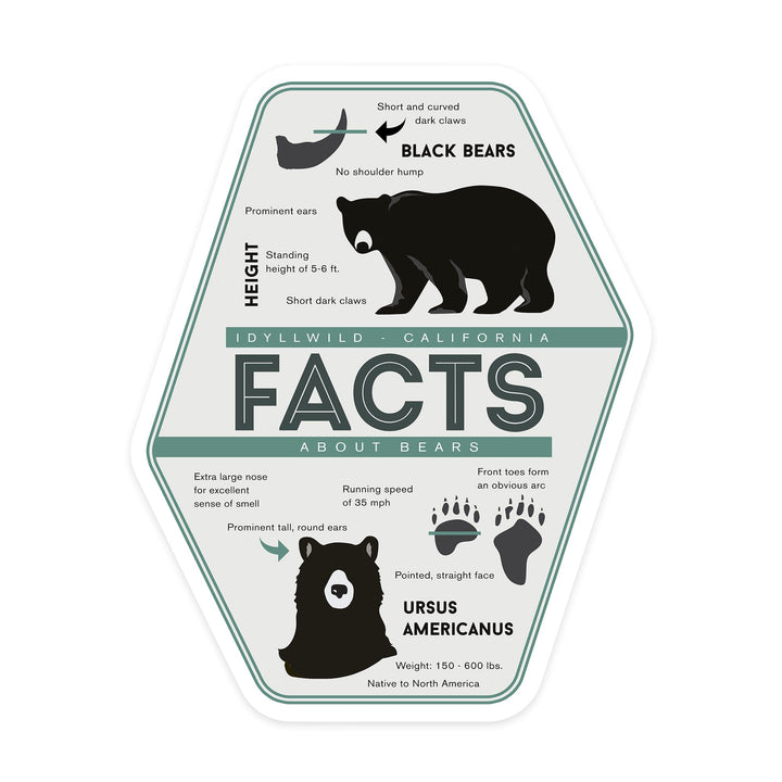 Idyllwild, California, Bear Facts, Contour, Vinyl Sticker - Lantern Press