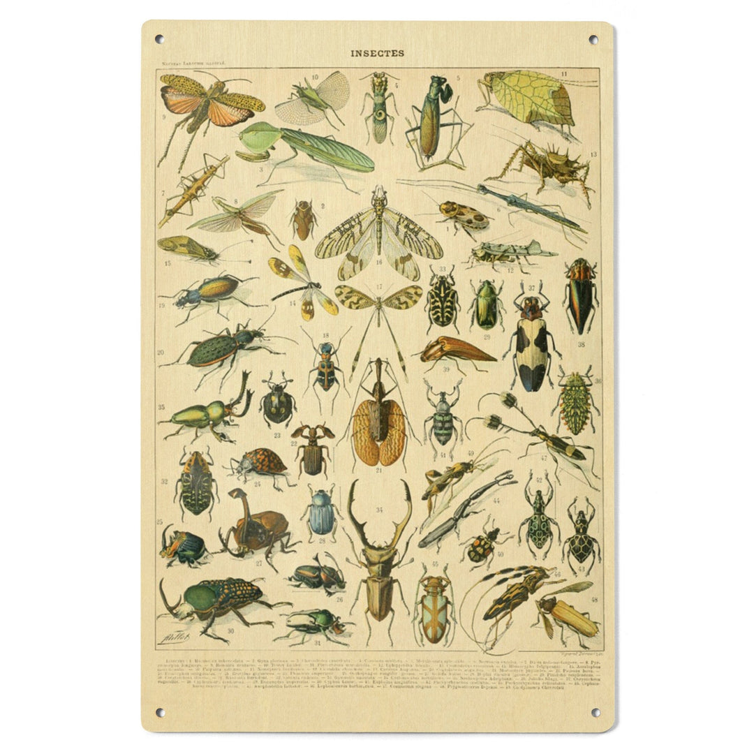Insects, B, Vintage Bookplate, Adolphe Millot Artwork, Wood Signs and Postcards Wood Lantern Press 
