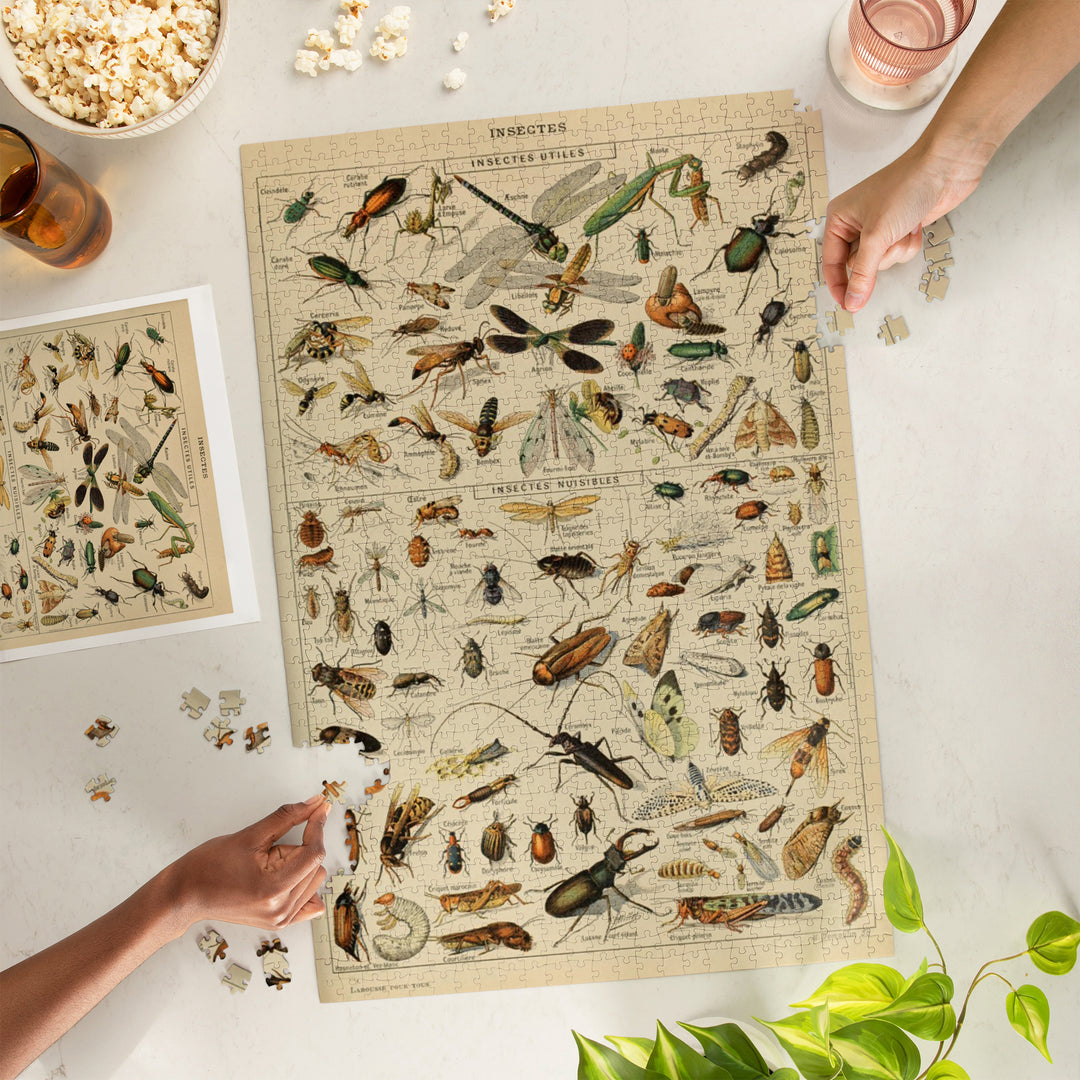 Insects, D, Vintage Bookplate, Adolphe Millot Artwork, Jigsaw Puzzle Puzzle Lantern Press 