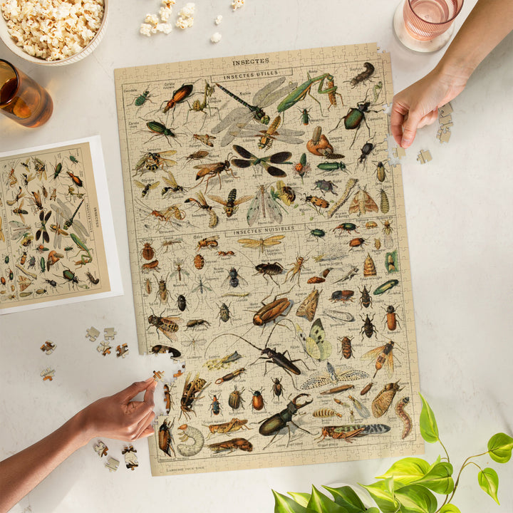 Insects, D, Vintage Bookplate, Adolphe Millot Artwork, Jigsaw Puzzle Puzzle Lantern Press 