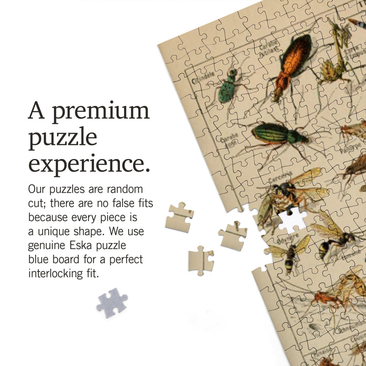 Insects, D, Vintage Bookplate, Adolphe Millot Artwork, Jigsaw Puzzle Puzzle Lantern Press 