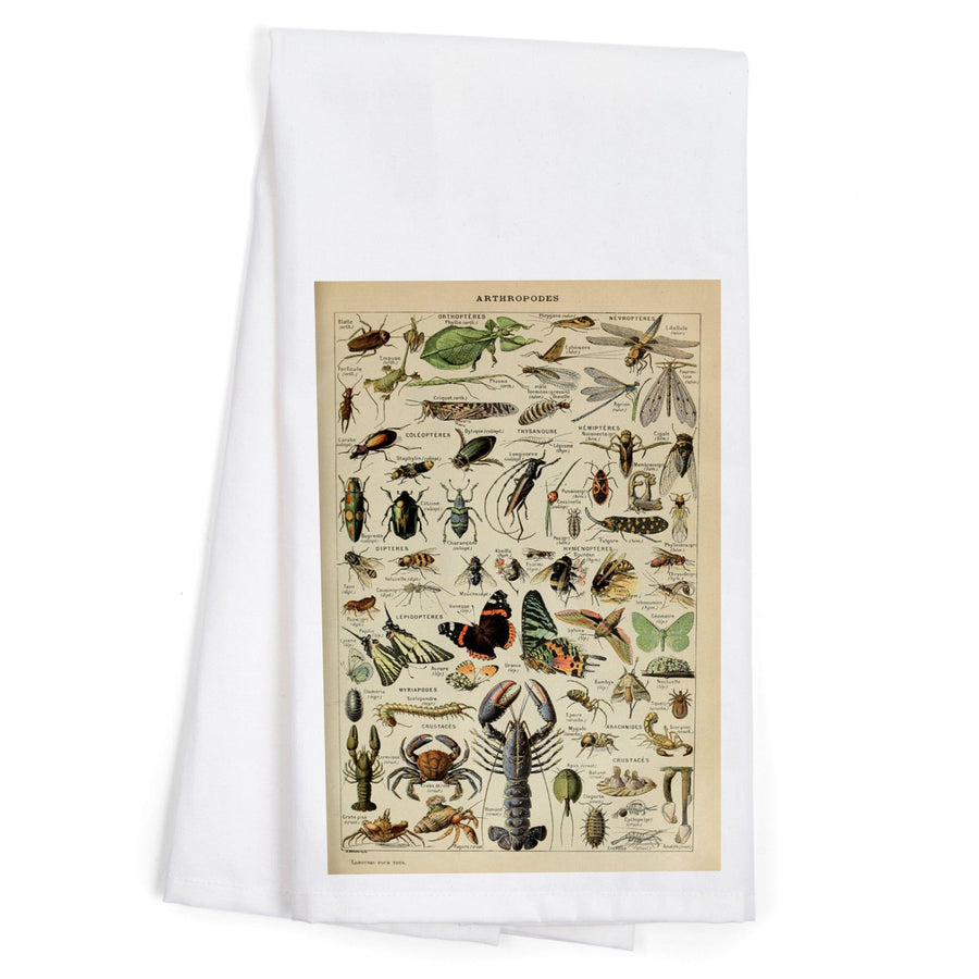 Insects, Vintage Bookplate, Adolphe Millot Artwork, Organic Cotton Kitchen Tea Towels Kitchen Lantern Press 
