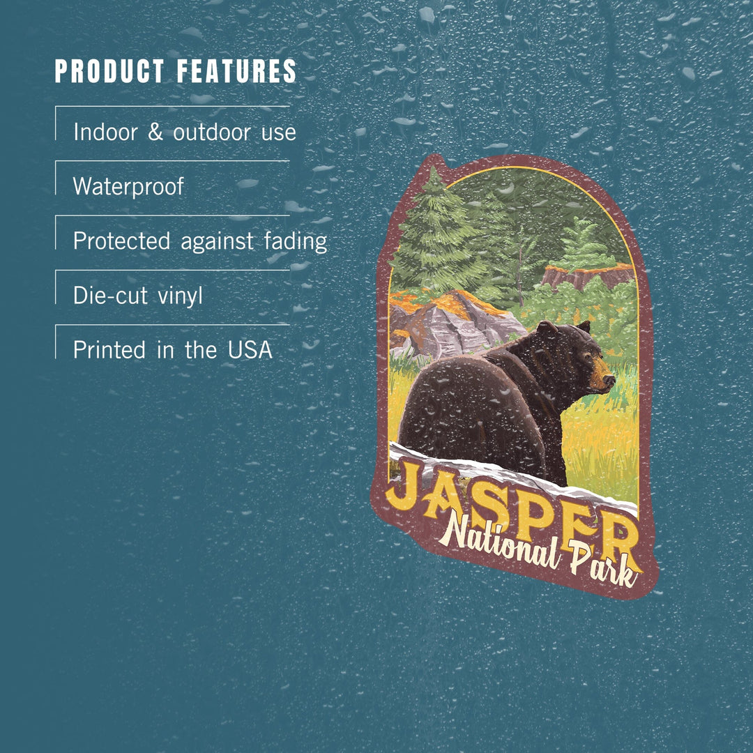 Jasper National Park, Canada, Black Bear in Forest, Contour, Vinyl Sticker - Lantern Press