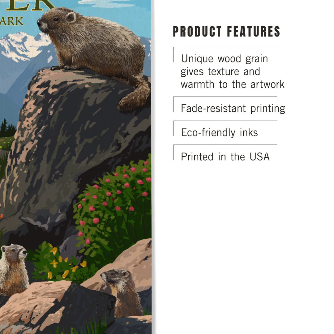 Jasper National Park, Canada, Marmots, Painterly, Wood Signs and Postcards Wood Lantern Press 