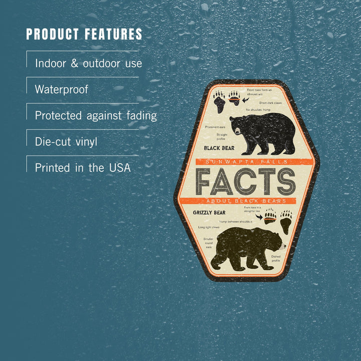 Jasper National Park, Canada, Sunwapta Falls, Facts About Bears, Contour, Vinyl Sticker - Lantern Press