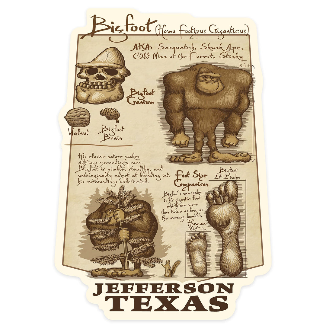 Jefferson, Texas, Bigfoot da Vinci, Contour, Vinyl Sticker - Lantern Press