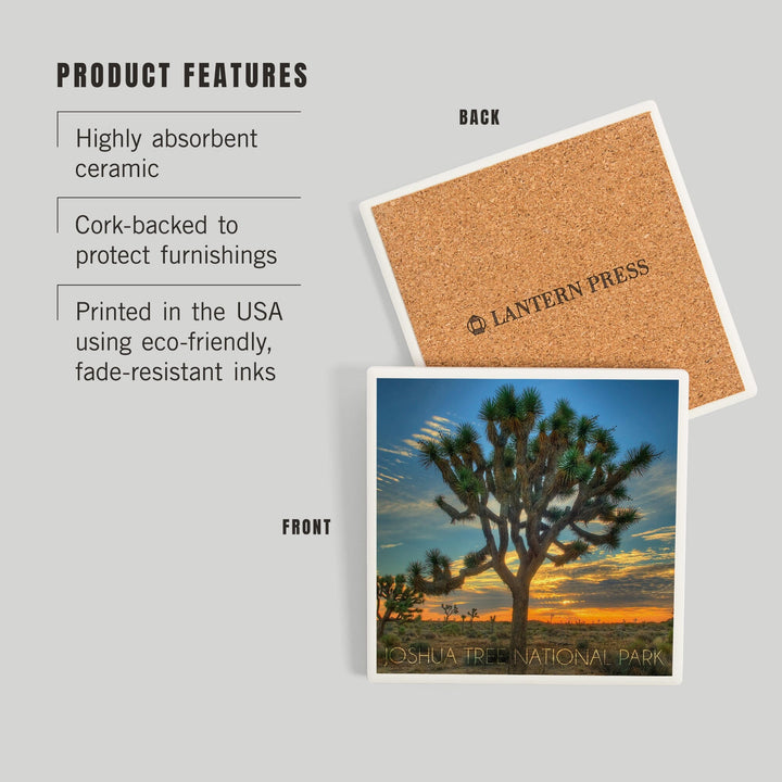 Joshua Tree National Park, California, Tree in Center, Coasters Coasters Lantern Press 