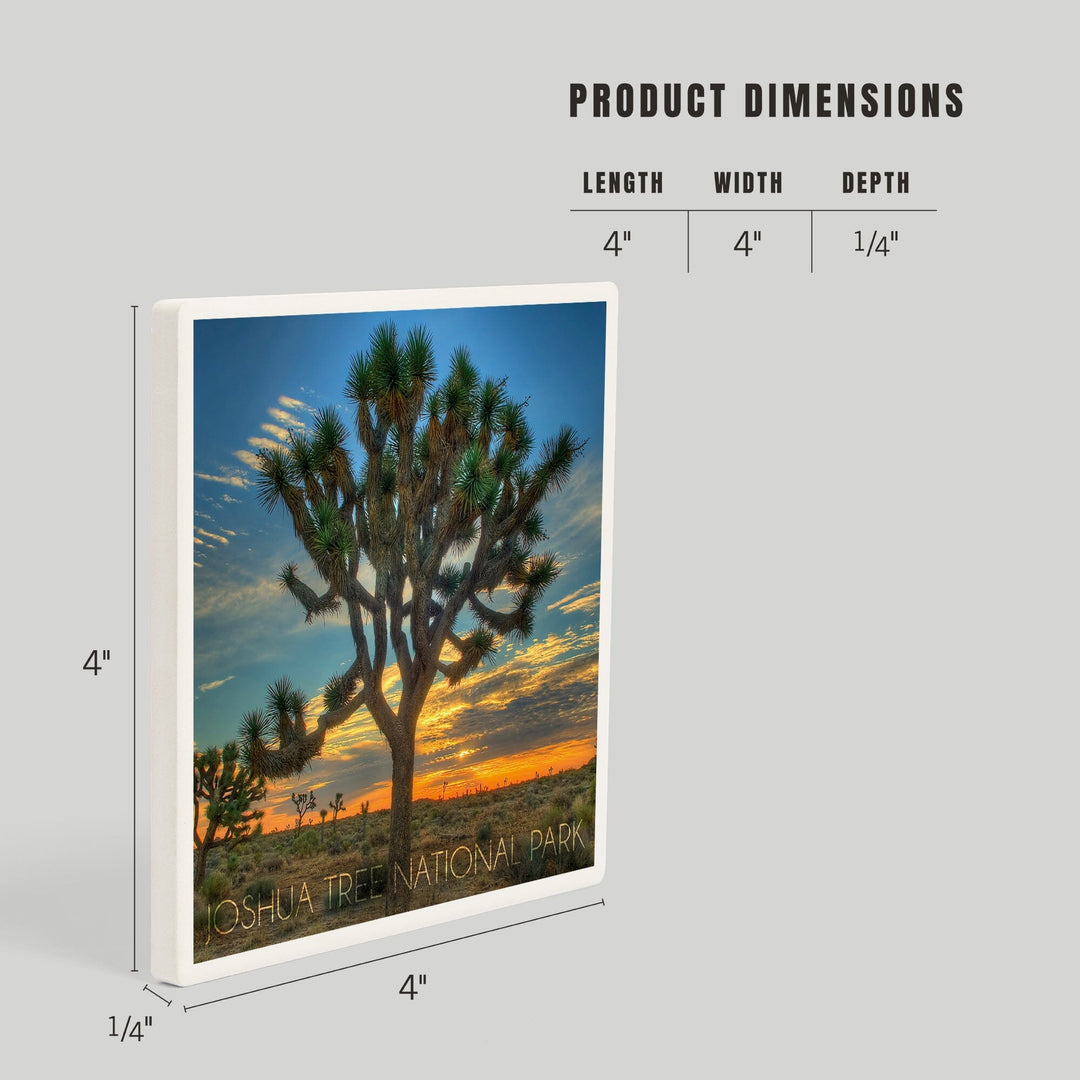 Joshua Tree National Park, California, Tree in Center, Coasters Coasters Lantern Press 