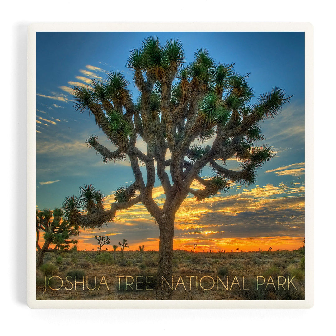 Joshua Tree National Park, California, Tree in Center, Coasters Coasters Lantern Press 
