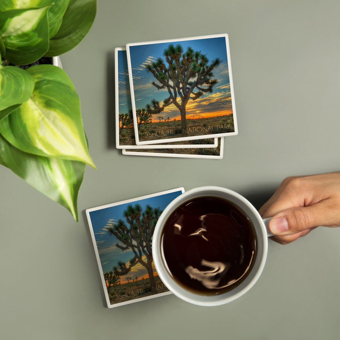 Joshua Tree National Park, California, Tree in Center, Lantern Press Photography, Coaster Set - Lantern Press