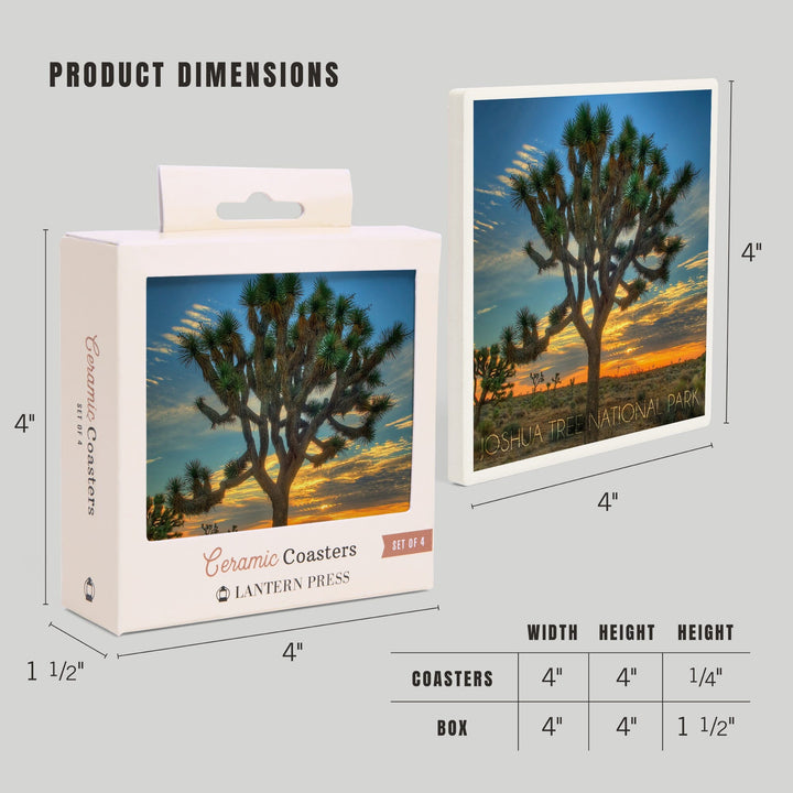 Joshua Tree National Park, California, Tree in Center, Lantern Press Photography, Coaster Set - Lantern Press