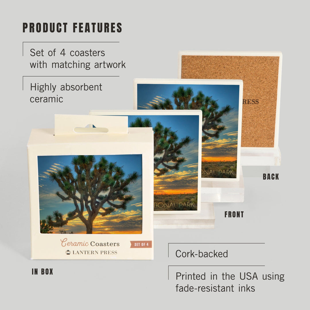 Joshua Tree National Park, California, Tree in Center, Lantern Press Photography, Coaster Set - Lantern Press