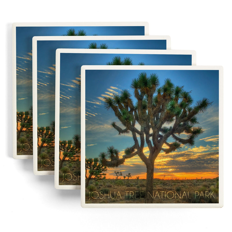 Joshua Tree National Park, California, Tree in Center, Lantern Press Photography, Coaster Set - Lantern Press