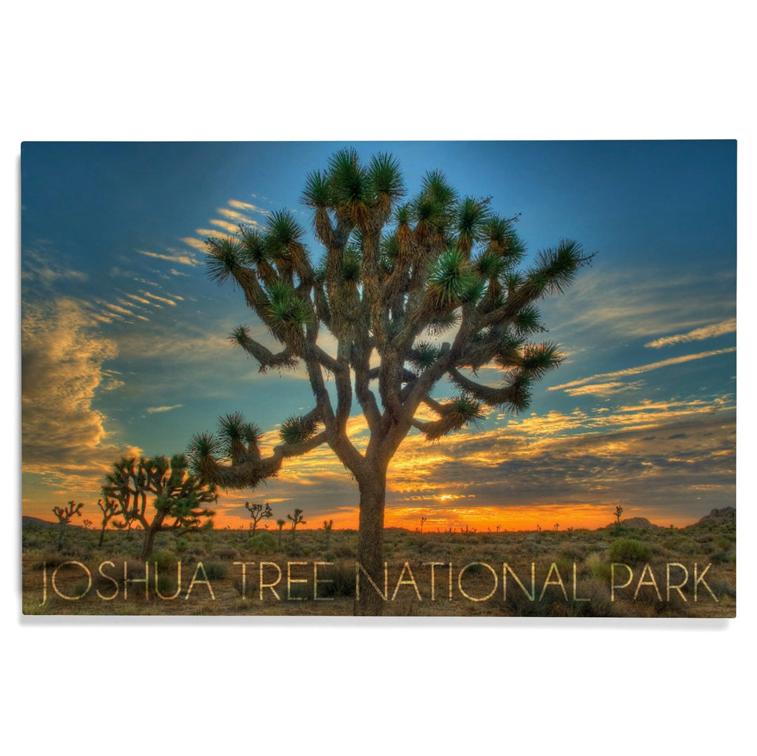Joshua Tree National Park, California, Tree in Center, Lantern Press Photography, Wood Signs and Postcards Wood Lantern Press 