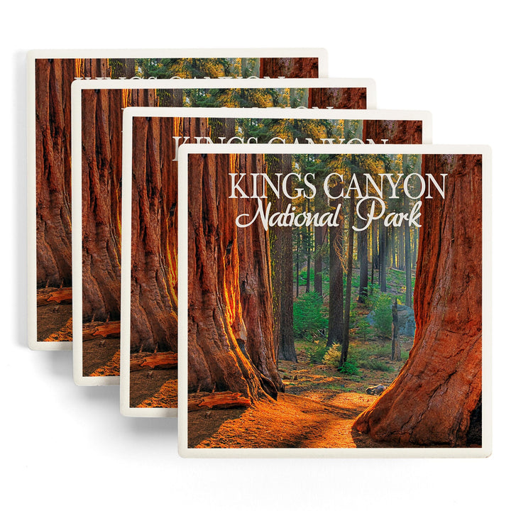 Kings Canyon National Park, California, Grants Grove, Lantern Press Photography, Coaster Set - Lantern Press