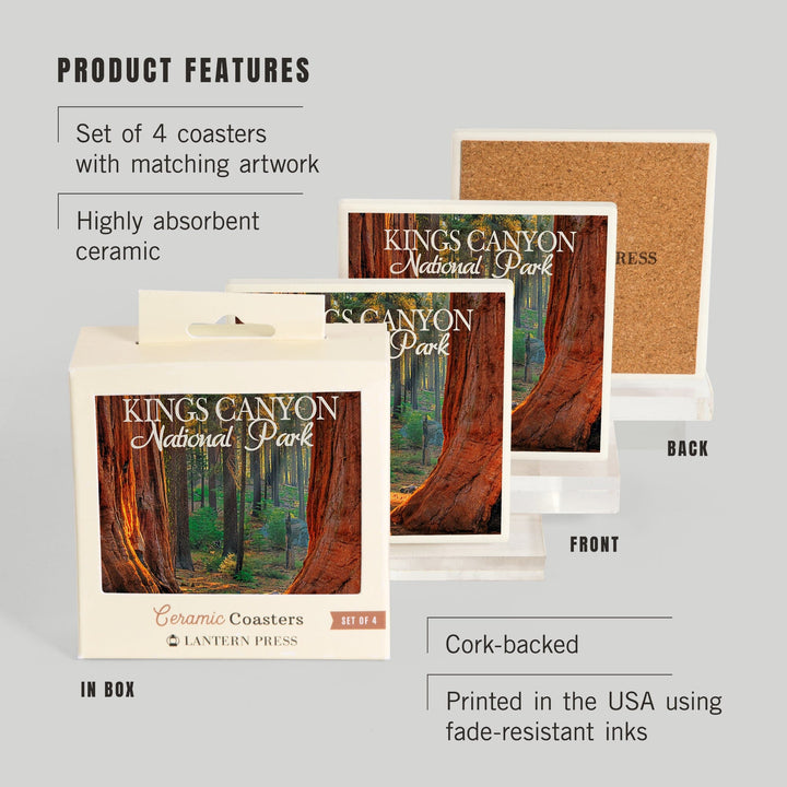 Kings Canyon National Park, California, Grants Grove, Lantern Press Photography, Coaster Set - Lantern Press