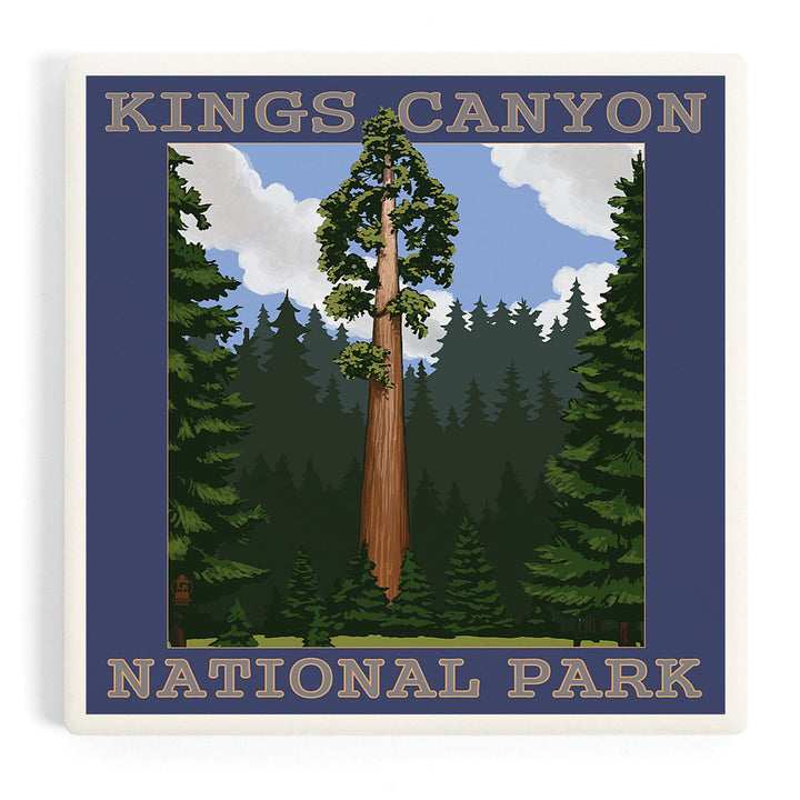 Kings Canyon National Park, California, Sequoia Tree and Mountain Range, Coasters Coasters Lantern Press 
