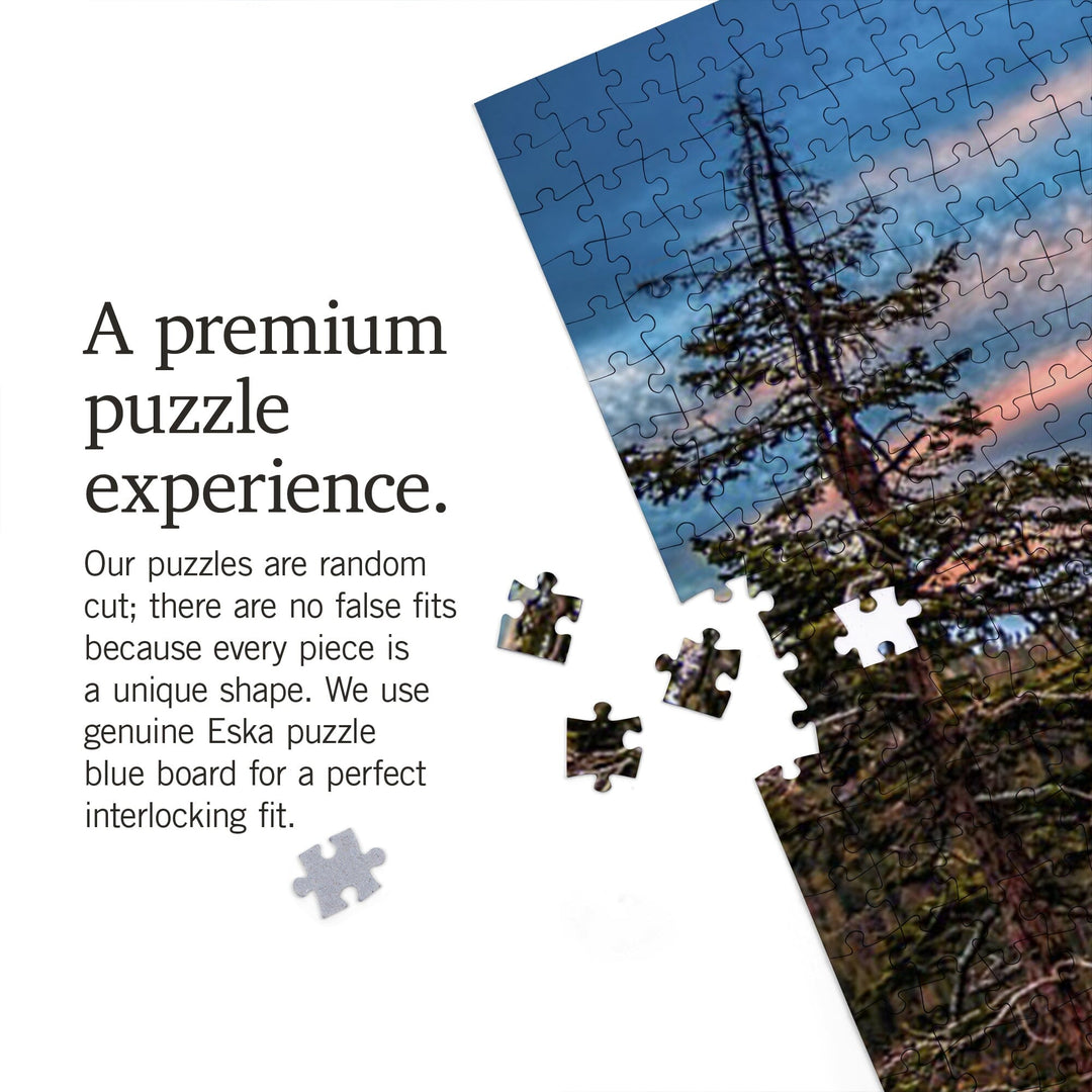 Lake Tahoe, Lake and Mirrored Sky, Jigsaw Puzzle Puzzle Lantern Press 