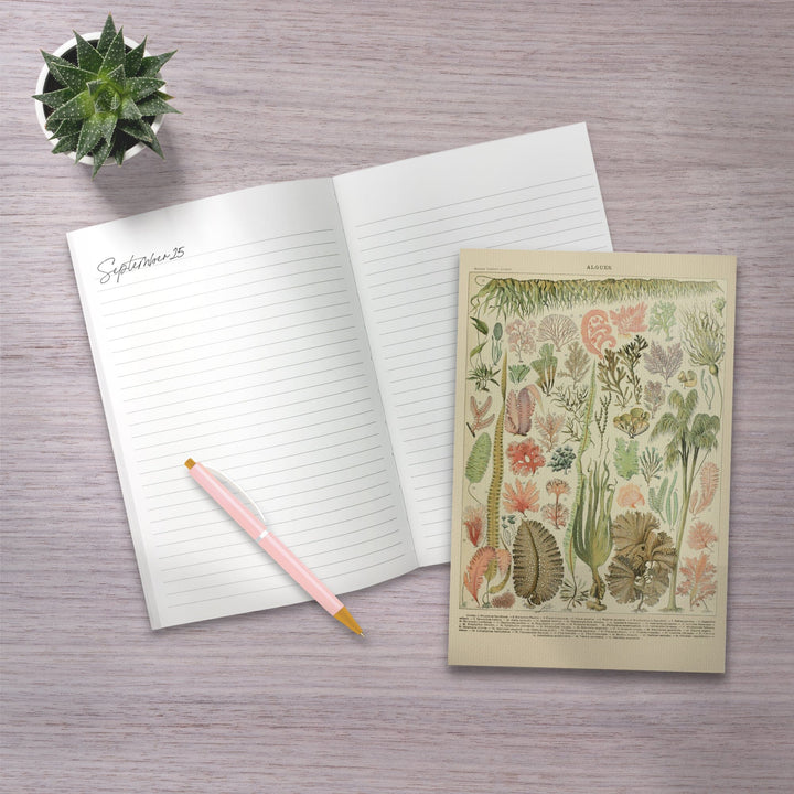 Lined 6x9 Journal, Algae, Vintage Bookplate, Adolphe Millot Artwork, Lay Flat, 193 Pages, FSC paper Home Lantern Press 