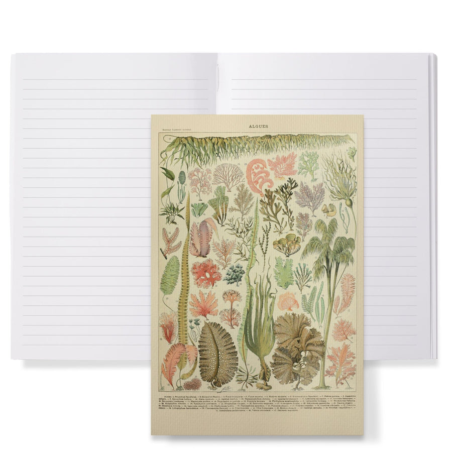 Lined 6x9 Journal, Algae, Vintage Bookplate, Adolphe Millot Artwork, Lay Flat, 193 Pages, FSC paper Home Lantern Press 