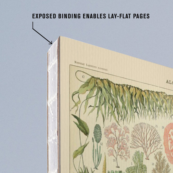 Lined 6x9 Journal, Algae, Vintage Bookplate, Adolphe Millot Artwork, Lay Flat, 193 Pages, FSC paper Home Lantern Press 