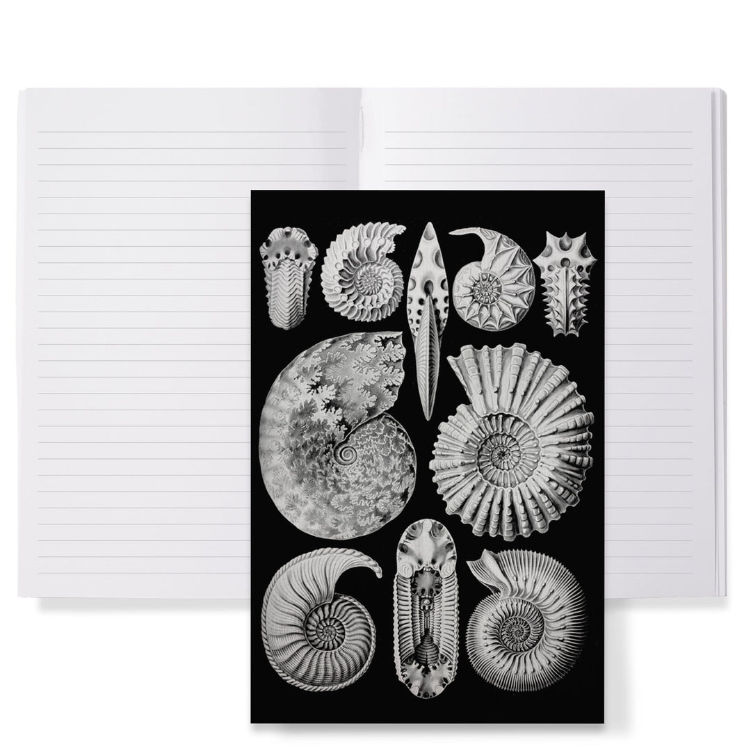 Lined 6x9 Journal, Art Forms of Nature, Ammonitida (Marine Molluscs), Ernst Haeckel Artwork, Lay Flat, 193 Pages, FSC paper Home Lantern Press 