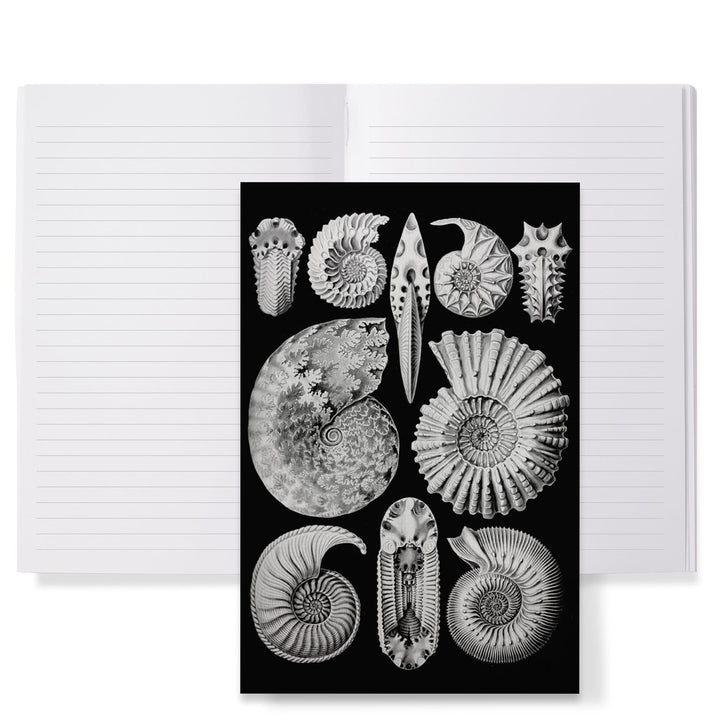 Lined 6x9 Journal, Art Forms of Nature, Ammonitida (Marine Molluscs), Ernst Haeckel Artwork, Lay Flat, 193 Pages, FSC paper Home Lantern Press 