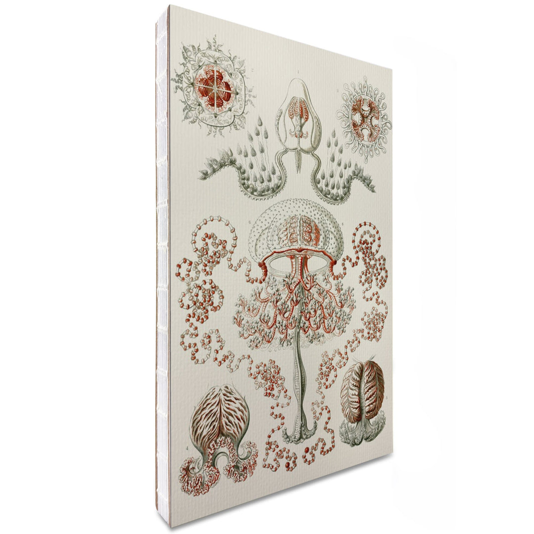 Lined 6x9 Journal, Art Forms of Nature, Anthomedusae (Marine Invertebrates), Ernst Haeckel Artwork, Lay Flat, 193 Pages, FSC paper Home Lantern Press 